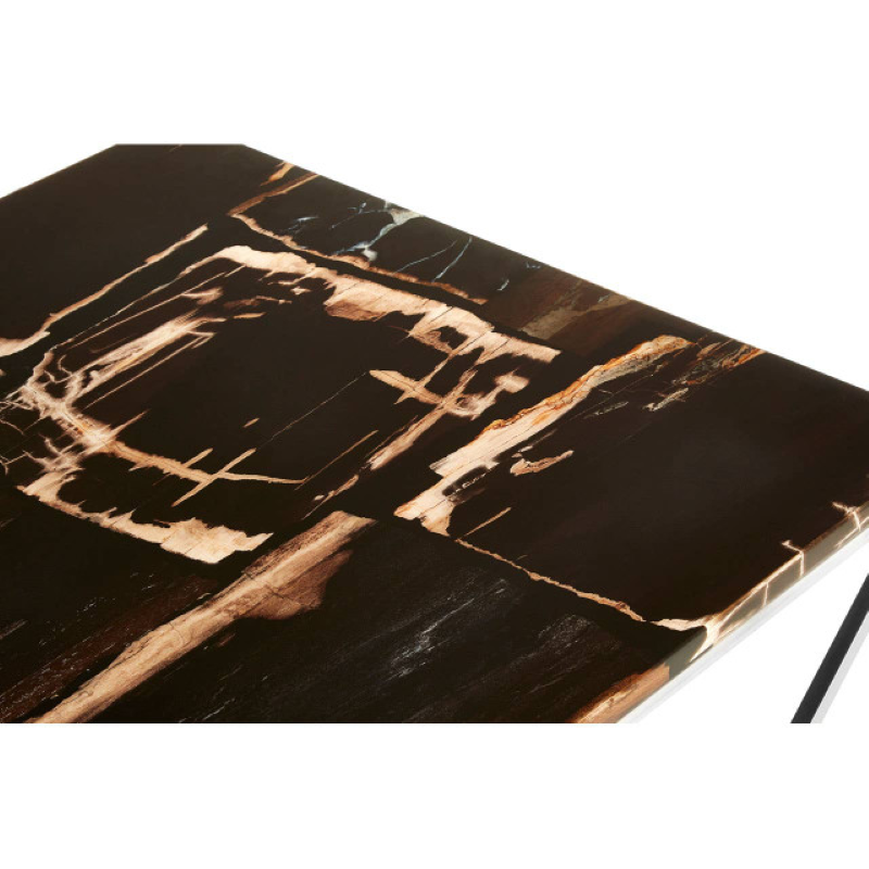 Coffee Table- Relic Dark Petrified Wood Top