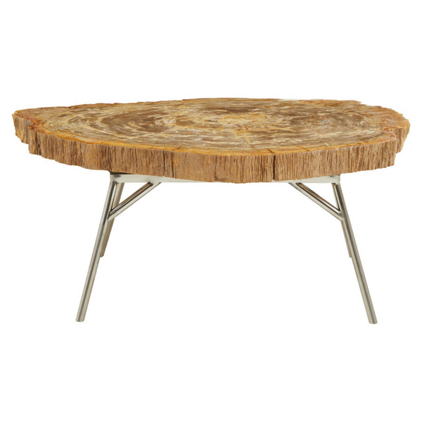 Coffee Table- Relic Petrified Wood