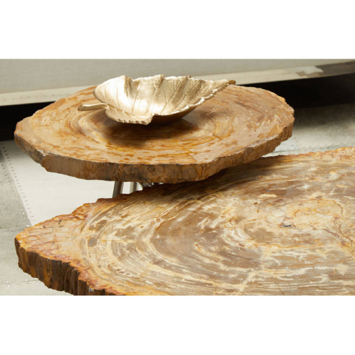 Coffee Table- Relic Petrified Wood