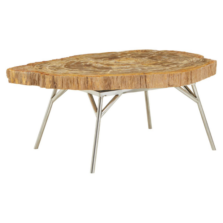 Coffee Table- Relic Petrified Wood