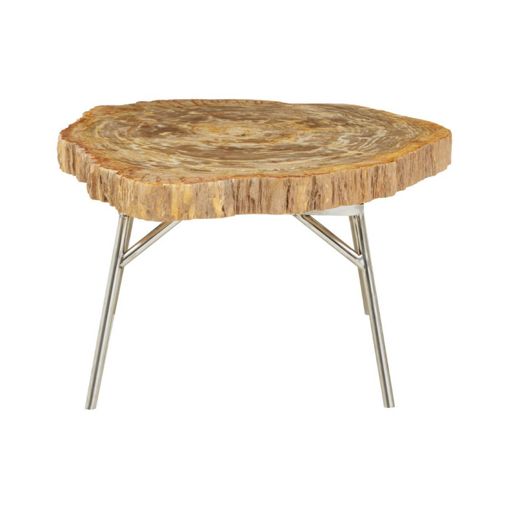 Coffee Table- Relic Petrified Wood
