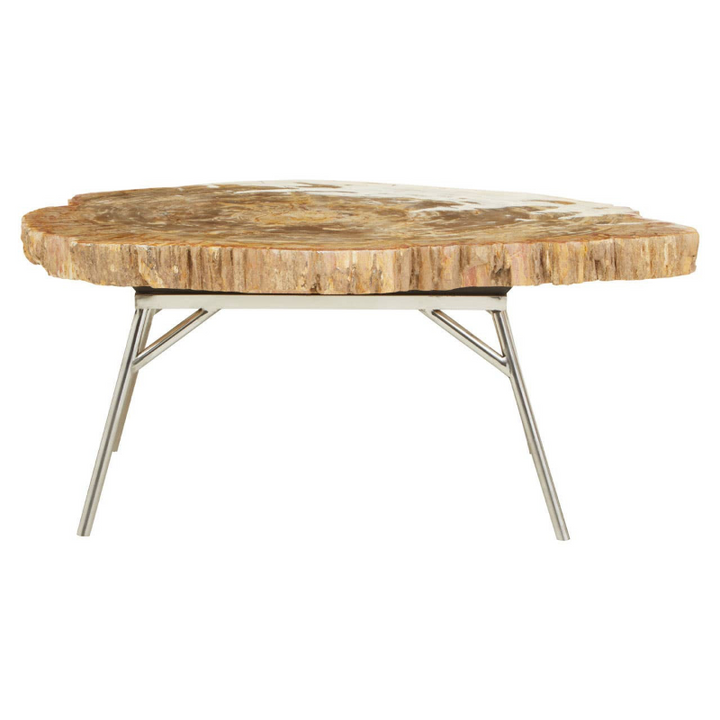 Coffee Table- Relic Petrified Wood