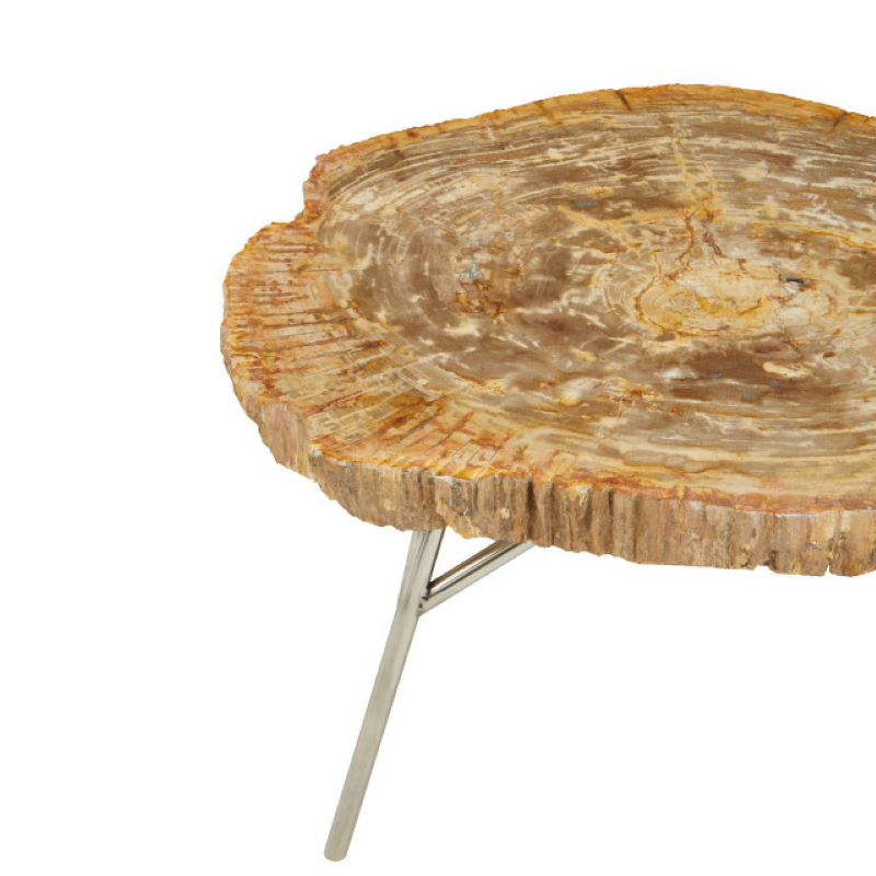 Coffee Table- Relic Petrified Wood