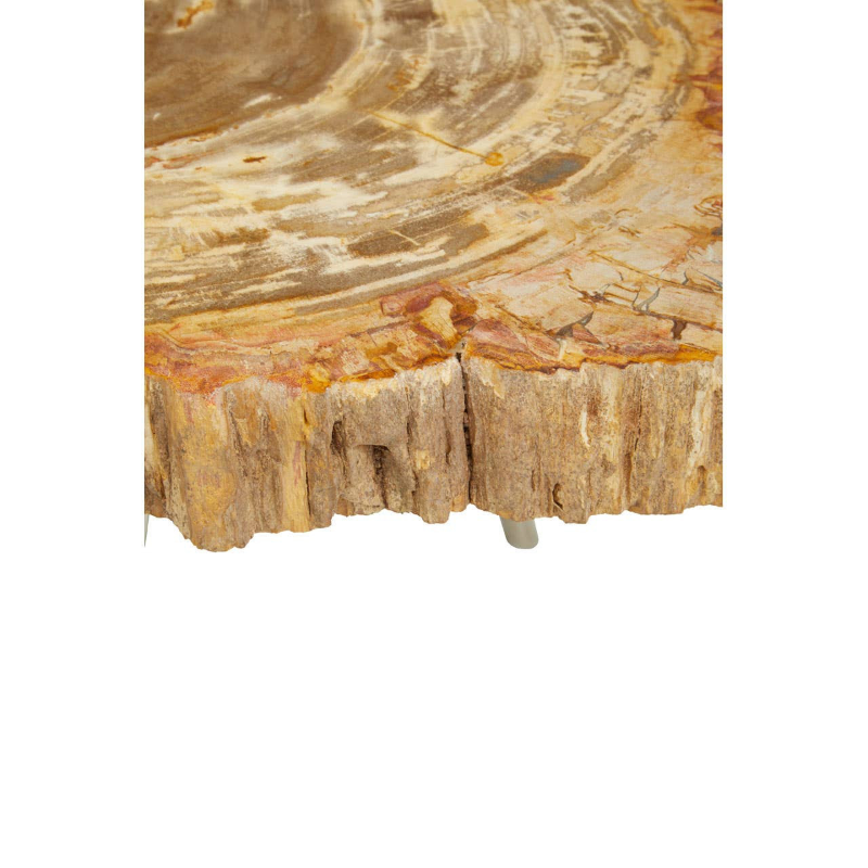 Coffee Table- Relic Petrified Wood