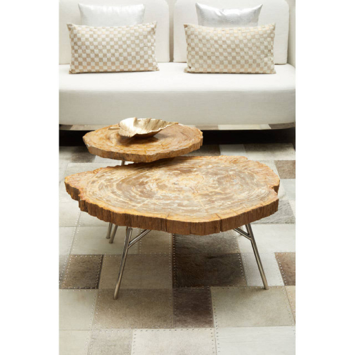 Coffee Table- Relic Petrified Wood