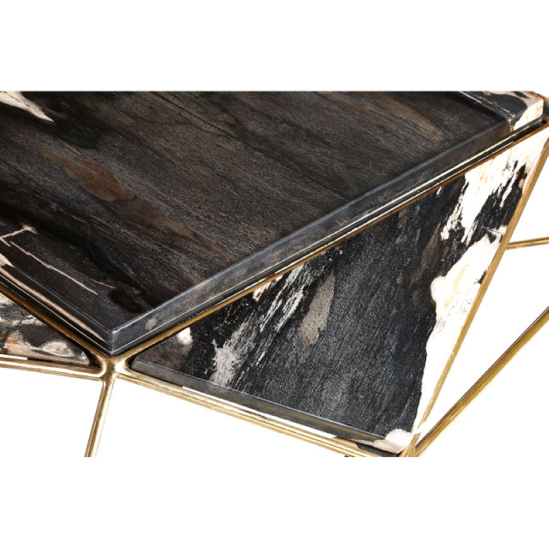 Geometric Coffee Table- Relic Dark Petrified Wood